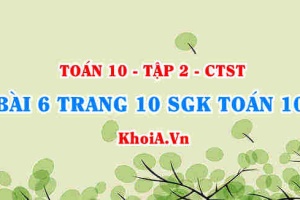 Bài 6 trang 10 SGK Toán 10 Tập 2 Chân trời sáng tạo